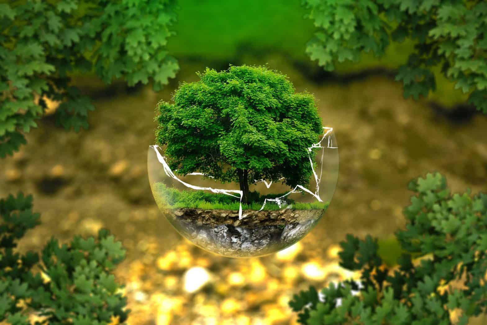 impacto-ambiental impacto-ambiental
