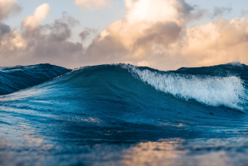 silas-baisch-OCzvgBqCJKY-unsplash-min-min silas-baisch-OCzvgBqCJKY-unsplash-min-min